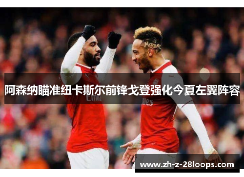 阿森纳瞄准纽卡斯尔前锋戈登强化今夏左翼阵容