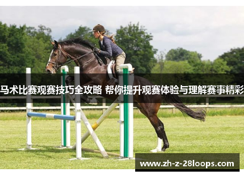 马术比赛观赛技巧全攻略 帮你提升观赛体验与理解赛事精彩